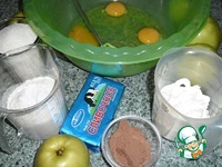 ���� ���������-�������� �����������