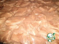 ���� ���������-�������� �����������