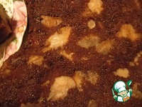 ���� ���������-�������� �����������