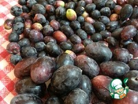 ������ ������� �����������