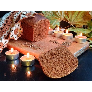 ������ ��������� ���� "������� �����"