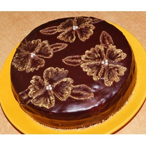 ���� "��������� ����"