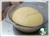 ���� ��������� �����������