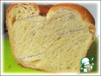 ���� ��������� �����������