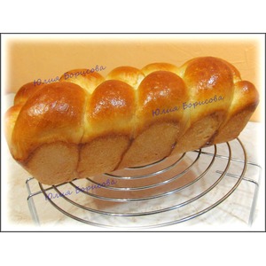 ���� ���������