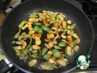 ������ "��������" �����������