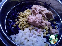 ����� �� �������������� ������� � ������ �����������