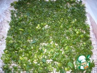 ����� � ������������� �������� � ������� �����������