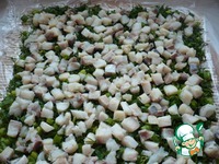 ����� � ������������� �������� � ������� �����������