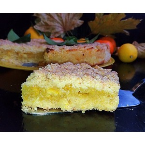 �������� �����������-�������� ����� "������ �����"