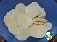 ������������ ���� �����������