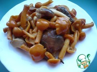 ����� "�����������" � ������������� �������� �����������