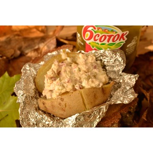 ������� ��������� � ������������