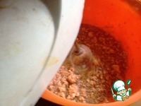 �������� ����� �� ���� �����������