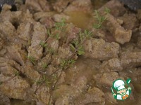 ���� "������" �����������