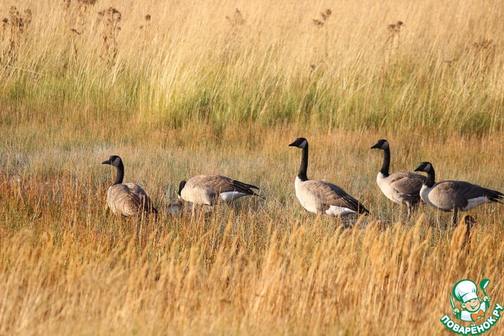 ����������� �� �������... �������������. ����� 3 - �������� � �����