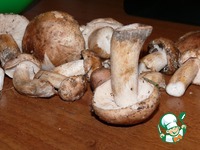 ������� ���-���� � ������� ������� �����������