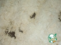 ����� ������������ "���������" �����������