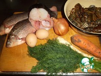 ��� � �������� ����� �����������