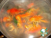 ��� � �������� ����� �����������