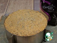 ������ "��������" �����������