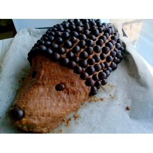 ���� "����"