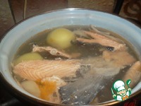 ����������� ��� �����������