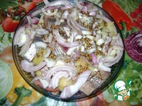 ����� ������������ � ������� �����������