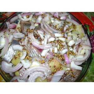 ����� ������������ � �������