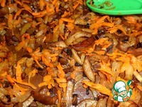 �����������-������� ��� �����������