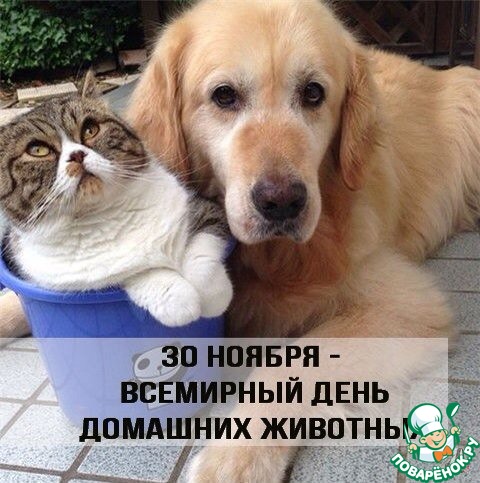 ������������.