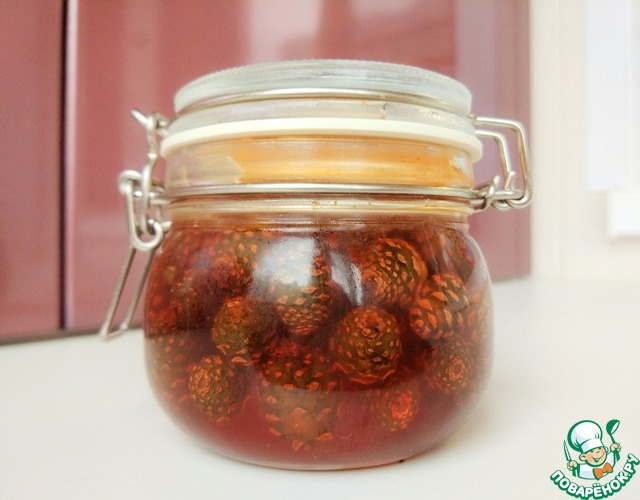 Варенье из сосновых шишек – кулинарный рецепт