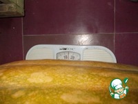 ��������-��������� ��� � ����� � ������� �����������