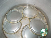 ��������-��������� ��� � ����� � ������� �����������