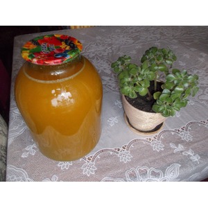 ��������-��������� ��� � ����� � �������