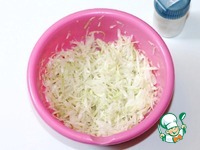 ����� ������� � ��������-������� ��������� �����������