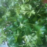 ��� ��������� ������ ������