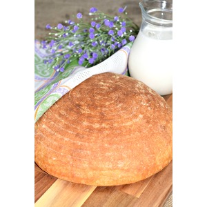 ����� ���� �� ����������� "������"