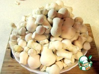 ����������� ������ �� ���������� �����������