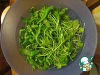 ����� � �������� ������� �����������