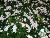 ����������� "������ �������" �����������