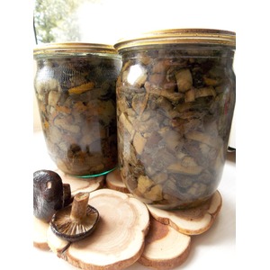 ������� ����� �� ����