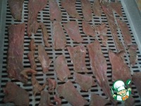 ������ � ������������ �����������