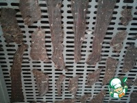 ������ � ������������ �����������