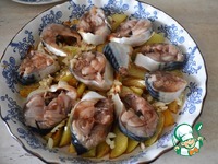 �������� � ���������� �����������