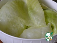 ������ ��������� � �������� �����������