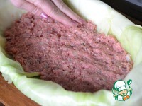 ������ ��������� � �������� �����������