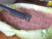 ������ ��������� � �������� �����������