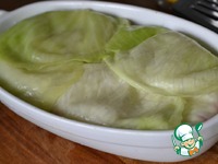 ������ ��������� � �������� �����������