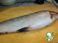 ����, ���������� � ����� �����������